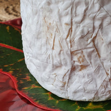 Load image into Gallery viewer, 500g Double Cream Brie Wheel - Made in Fiji